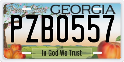 GA license plate PZB0557