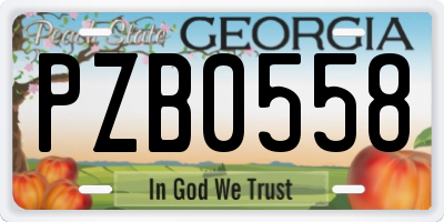 GA license plate PZB0558