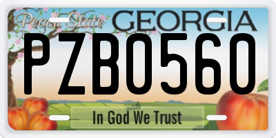 GA license plate PZB0560