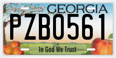 GA license plate PZB0561