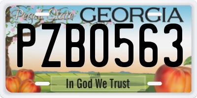 GA license plate PZB0563