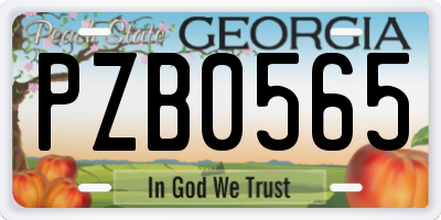GA license plate PZB0565