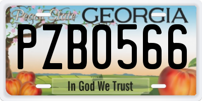 GA license plate PZB0566