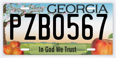 GA license plate PZB0567