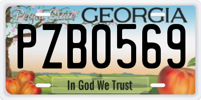 GA license plate PZB0569