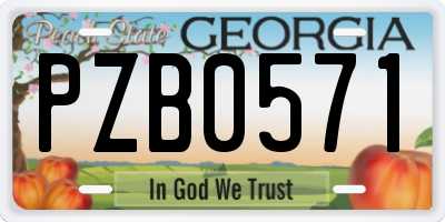 GA license plate PZB0571