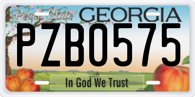 GA license plate PZB0575