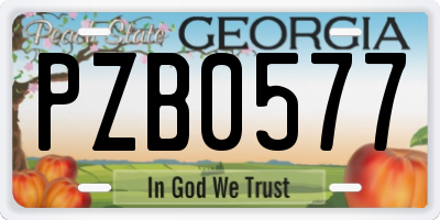 GA license plate PZB0577