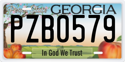GA license plate PZB0579