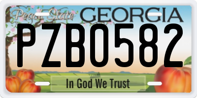 GA license plate PZB0582