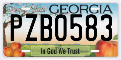 GA license plate PZB0583