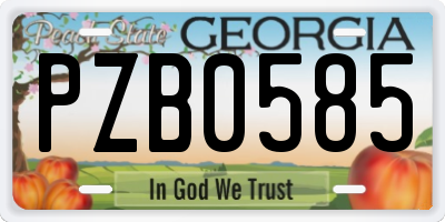 GA license plate PZB0585