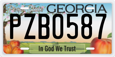 GA license plate PZB0587