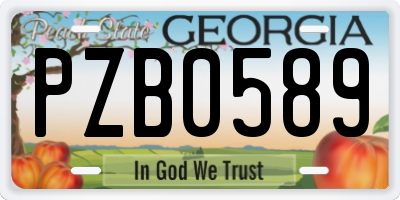 GA license plate PZB0589