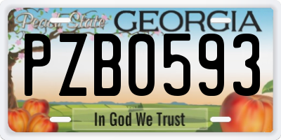 GA license plate PZB0593