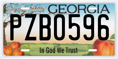 GA license plate PZB0596