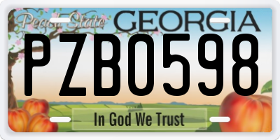 GA license plate PZB0598