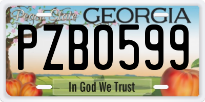GA license plate PZB0599
