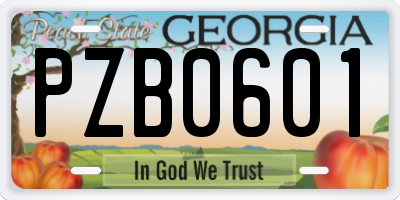 GA license plate PZB0601