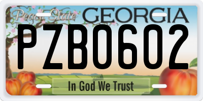 GA license plate PZB0602