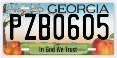 GA license plate PZB0605
