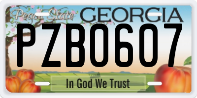 GA license plate PZB0607