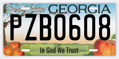 GA license plate PZB0608
