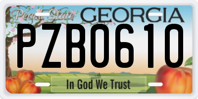 GA license plate PZB0610