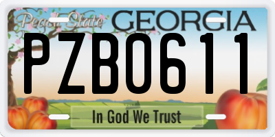 GA license plate PZB0611