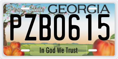 GA license plate PZB0615