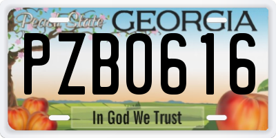 GA license plate PZB0616