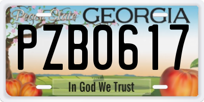 GA license plate PZB0617