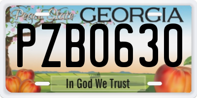 GA license plate PZB0630