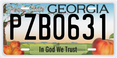 GA license plate PZB0631