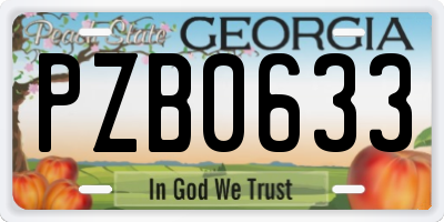 GA license plate PZB0633