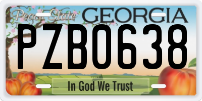 GA license plate PZB0638