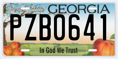 GA license plate PZB0641