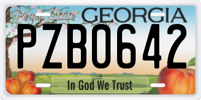 GA license plate PZB0642