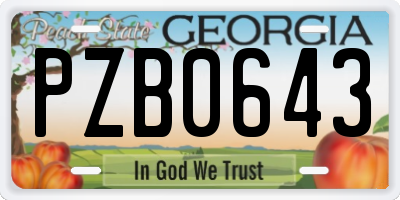 GA license plate PZB0643
