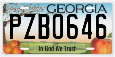 GA license plate PZB0646