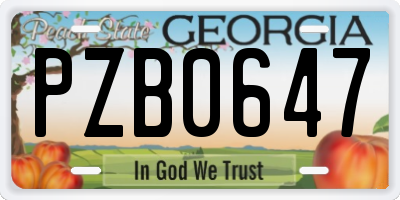 GA license plate PZB0647