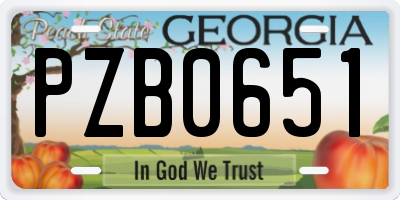 GA license plate PZB0651