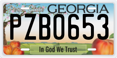 GA license plate PZB0653