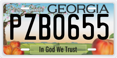 GA license plate PZB0655