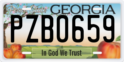 GA license plate PZB0659