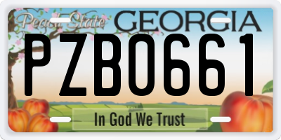 GA license plate PZB0661