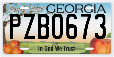GA license plate PZB0673