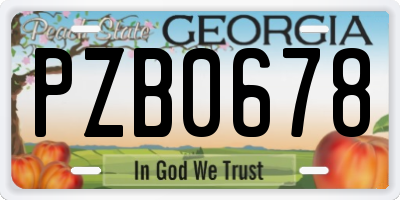 GA license plate PZB0678