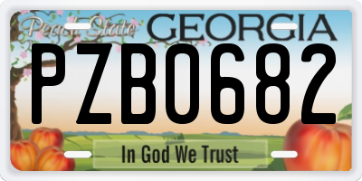 GA license plate PZB0682