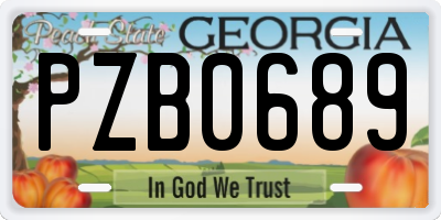 GA license plate PZB0689